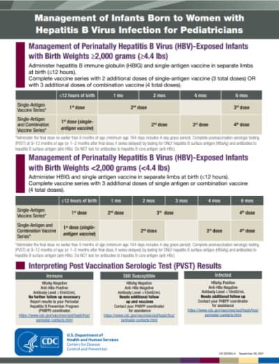 Hep B provider tip sheet