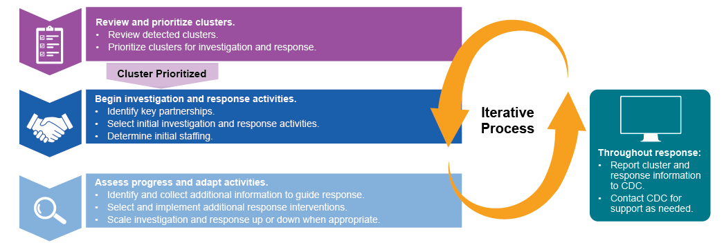 Figure summarizing CDR LCG activities and how some activities proceed in order while others are cyclica