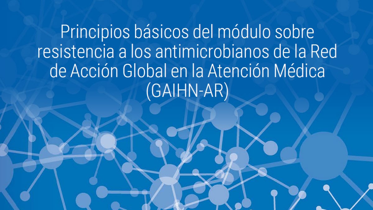 Principios básicos de la GAIHN-AR