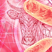 Biothreat Preparedness Training for Sentinel Laboratories Brucella spp.