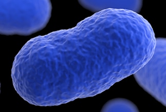 Illustration of Listeria.