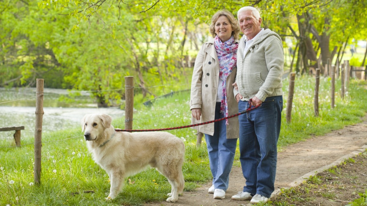 Photo of a couple walking their dog