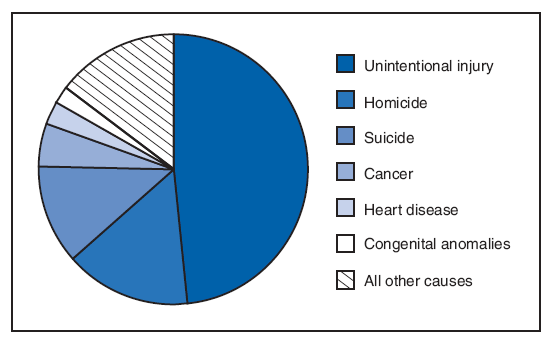 In 2005, a total of 13,073 deaths occurred among teens aged 1519 years. The leading cause of death in this age group was unintentional injury, accounting for 48.3% of the deaths. Homicide accounted for 15.1% of the deaths and suicide for 11.8%, followed by cancer (5.3%), heart disease (2.8%), and congenital anomalies (1.8%).