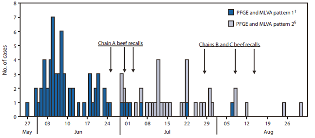 The figure shows cases of Shiga toxin-producing Escherichia coli O157 (STEC O157) in two outbreaks linked to a single beef slaughter facility, by subtype pattern and onset date, in the United States, during June-August 2008. Illness onset dates ranged from May 27 to August 7.