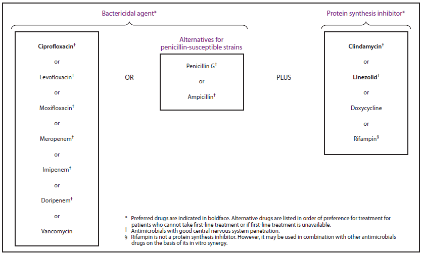 The figure shows the treatment regimen for systemic anthrax when meningitis has been excluded. Ciprofloxacin is the preferred bactericidal agent, and clindamycin is the preferred protein synthesis inhibitor. Alternative drugs are listed in order of preference for treatment for patients who cannot take first-line treatment or if first-line treatment is unavailable. Ciprofloxacin, levofloxacin, moxifloxacin, meropenem, imipenem, doripenem, penicillin G, ampicillin, clindamycin, linezolid, and rifampin are antimicrobials with good central nervous system penetration. Rifampin is not a protein synthesis inhibitor. However, it may be used in combination with other antimicrobials drugs on the basis of its in vitro synergy.