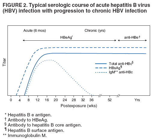 FIGURE 2. Typical serologic course of acute hepatitis B virus
(HBV) infection with progression to chronic HBV infection