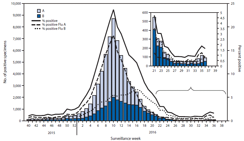 The figure above is a combination histogram and line graph showing the number and percentage of respiratory specimens testing positive for influenza reported by clinical laboratories, by type and week, in the United States during October 4, 2015â€“September 10, 2016.