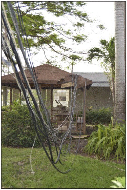 The figure above is a photo showing disruption of the electrical grid powering the Puerto Rico Department of Health laboratories in San Juan caused by Hurricane Maria in September 2017.