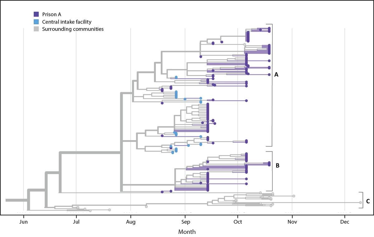 The figure is a phylogenetic tree showing genetic distance between available SARS-CoV-2 specimens from prison A, a central intake facility, and the surrounding communities in Wisconsin, during June–December 2020.