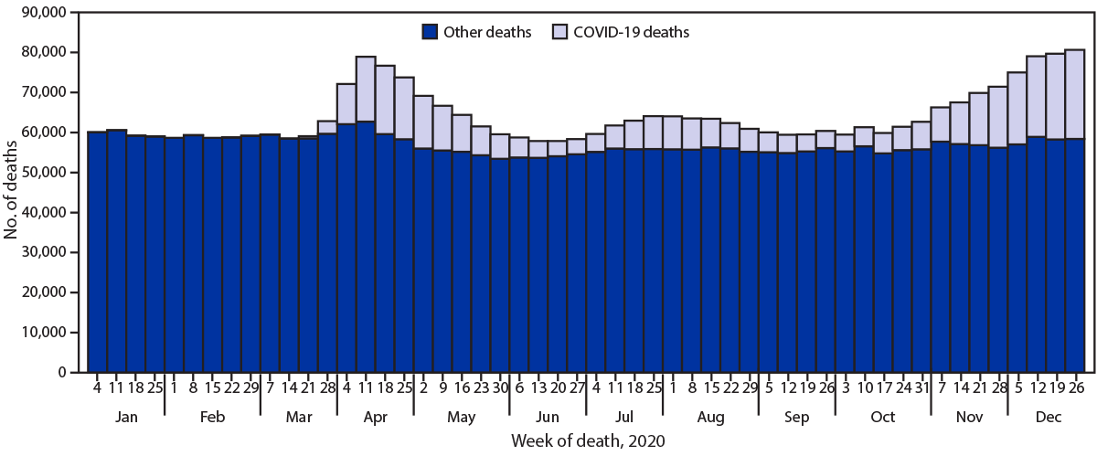 This figure is a bar chart showing the weekly number of COVID-19–related deaths in the United States during 2020.