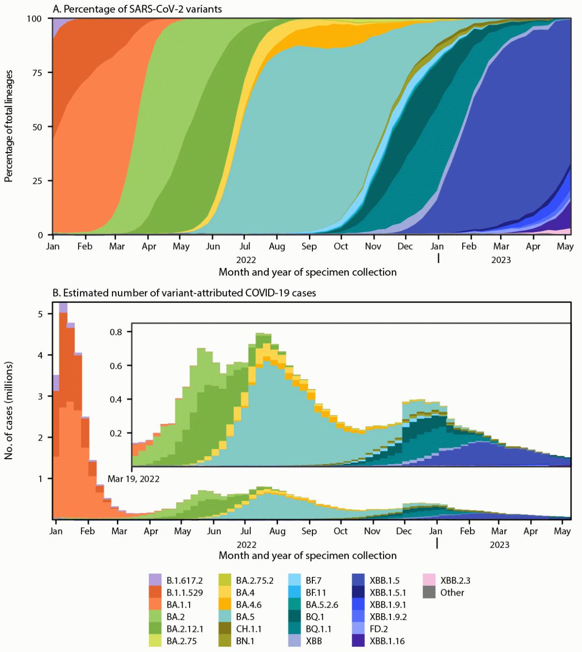 Figure 1 comprises two panels, the first of which is an area chart illustrating national weekly proportion estimates of SARS-CoV-2 variants. The second is a bar chart illustrating estimated numbers of cases attributed to each variant in the United States during January 2, 2022–May 13, 2023.