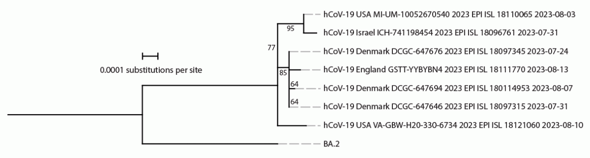 The figure is a phylogenetic tree indicating the phylogeny of SARS-CoV-2 Omicron BA.2.86 samples available on Global Initiative on Sharing All Influenza Data as of August 21, 2023, containing seven genomes, and ancestral BA.2 sequences.