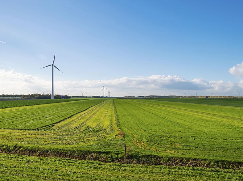 A farmland located in the middle of a densely populated farming region.