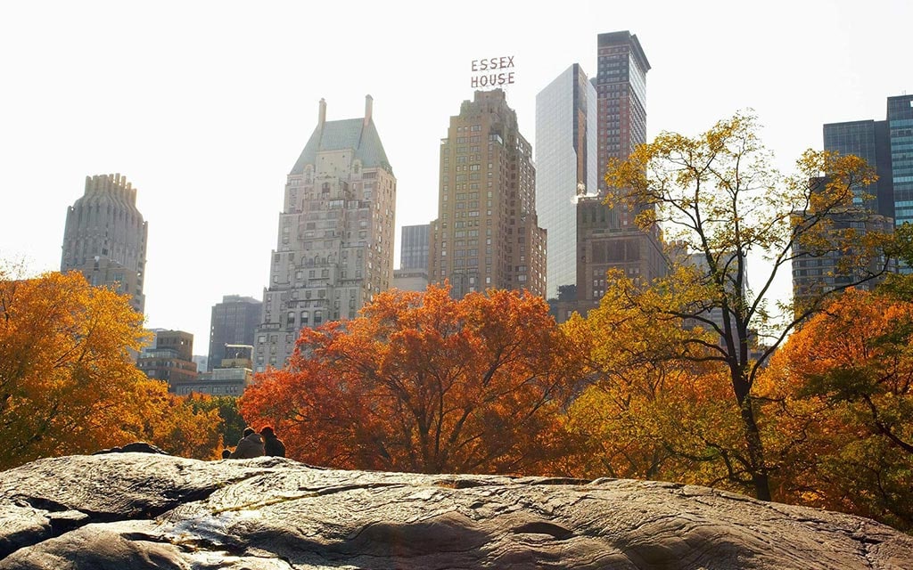 A park with trees located outside a city with tall buildings.