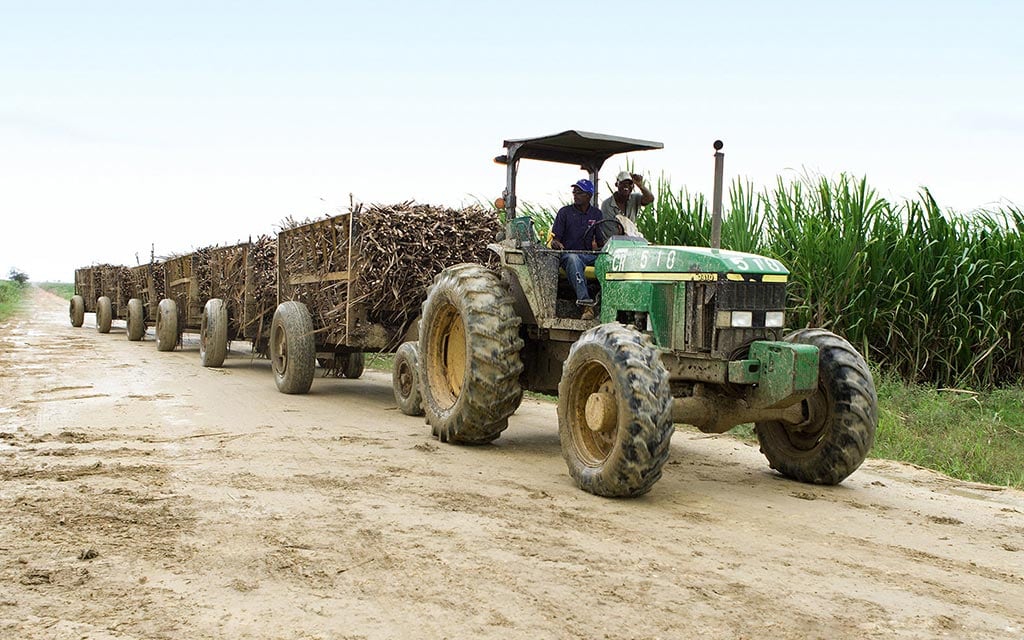 Two men on a tractor pulling sugarcane.