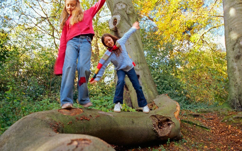 Children playing outside.