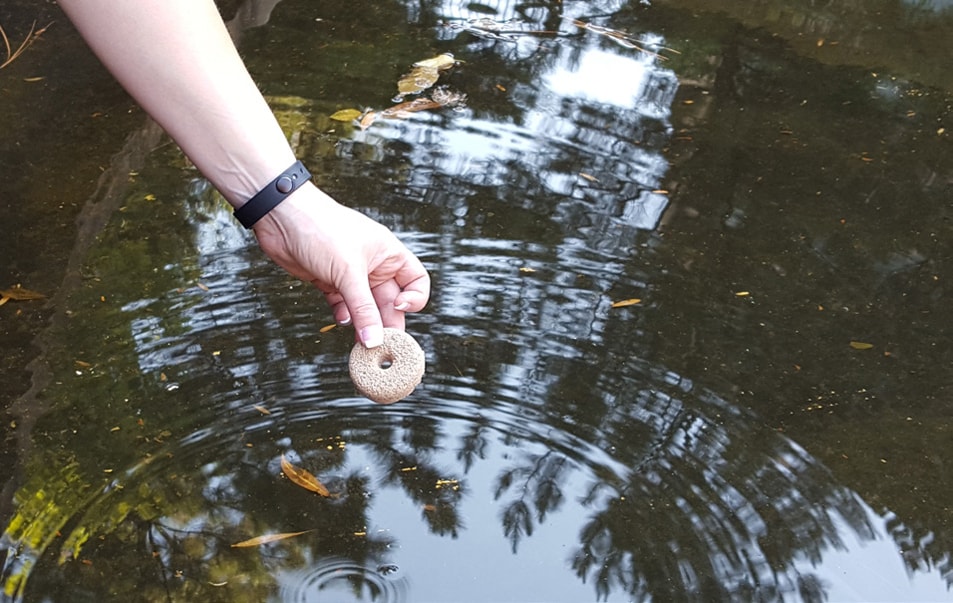 Persona tratando un cuerpo de agua con un disco sumergible de Bti.