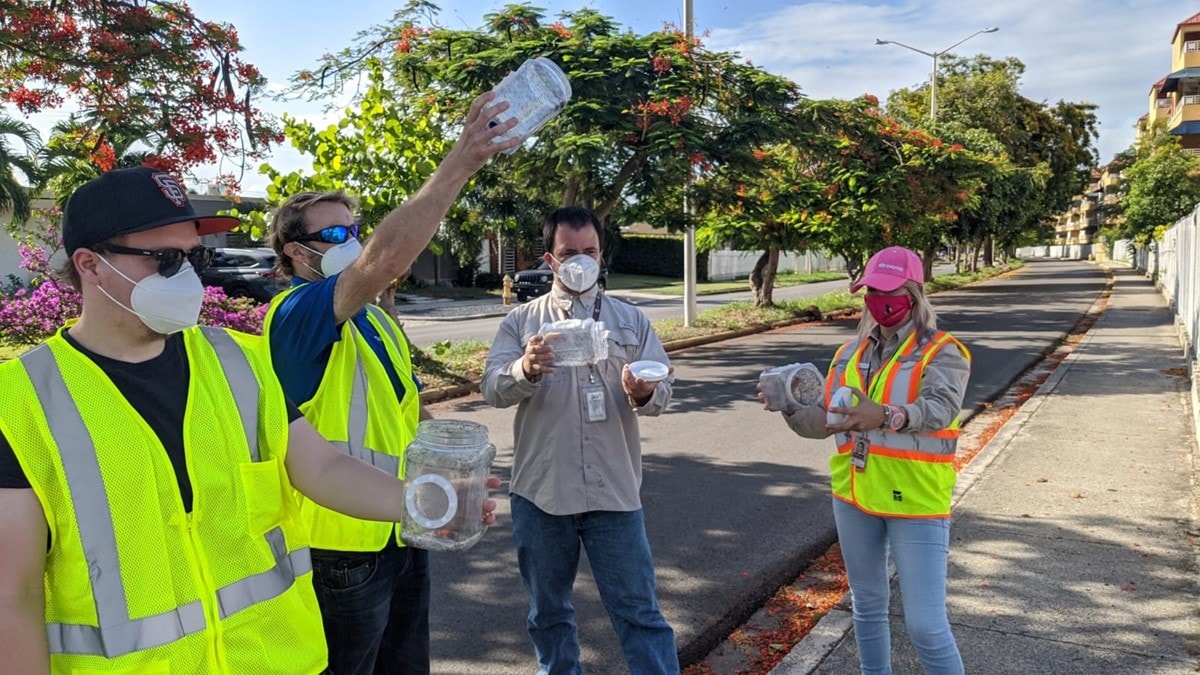 La Unidad de Control de Vectores de Puerto Rico libera mosquitos con Wolbachia en Ponce, Puerto Rico.