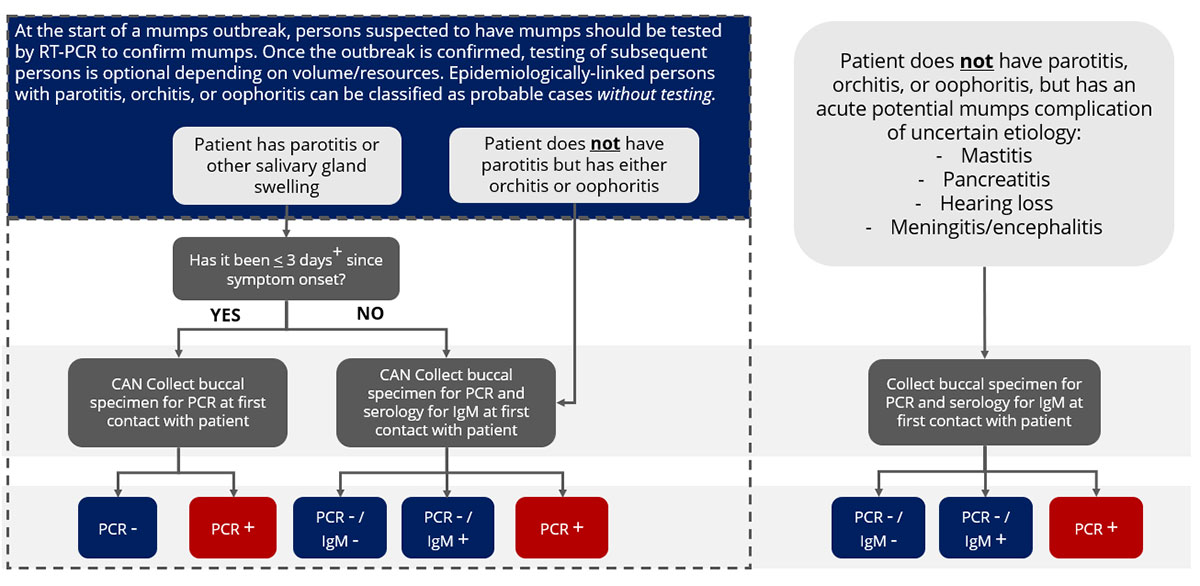 Epidemiologic-link or outbreak-related mumps testing flowchart