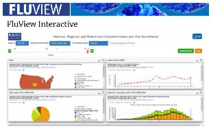 FluView Interactive header