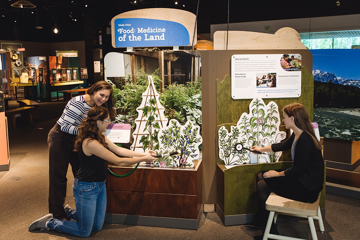 Three females interacting an exhibit that reads 'Food: Medicine of the Land'. They are using hand held magnified glasses to learn.