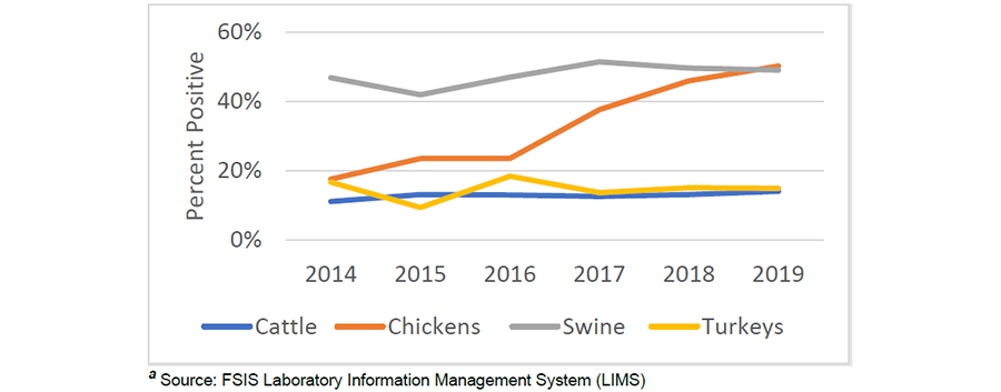 Graph from FSIS NARMS multi-year report showing percentage of cattle, chicken, swine, and turkey samples positive for Salmonella.