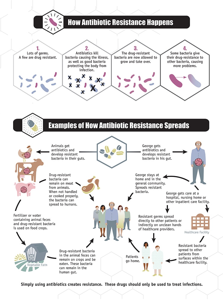 Infographic explaining how antimicrobial resistance happens and how it spreads.