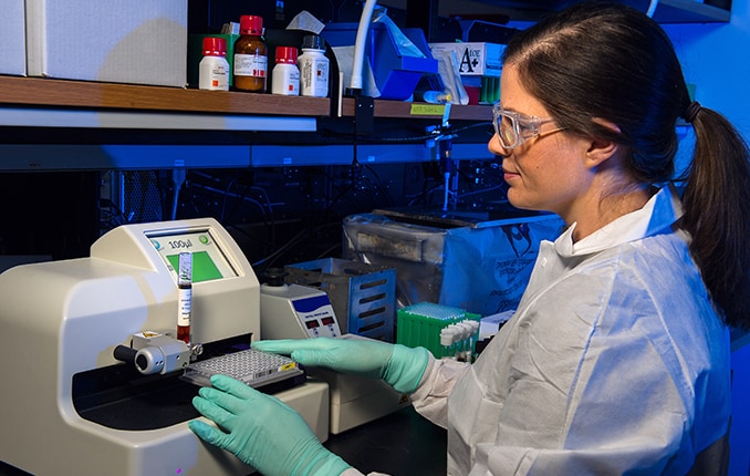 Scientist analyzing data from bacterial samples in a laboratory