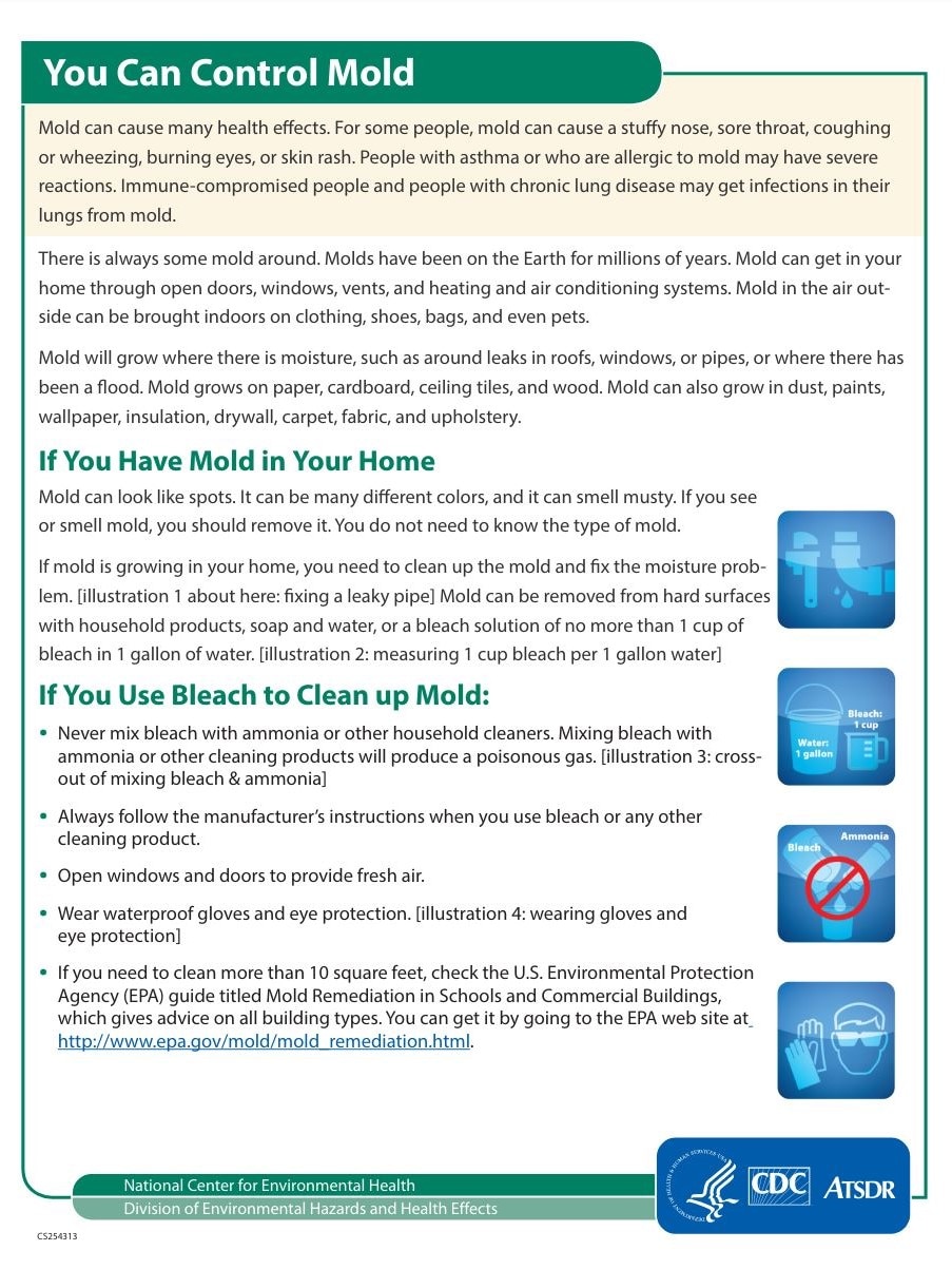 You Can Control Mold (Factsheet)