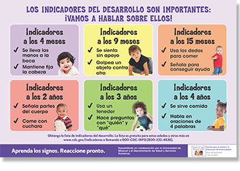 Milestones matter poster spanish