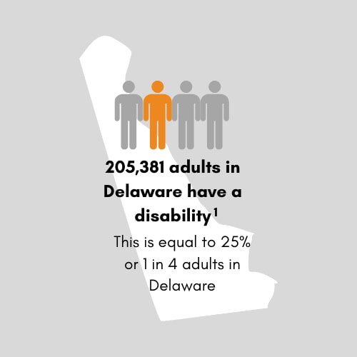 205,381 adults in Delaware have a disability. This is equal to 25 percent or 1 in 4 adults in Delaware.