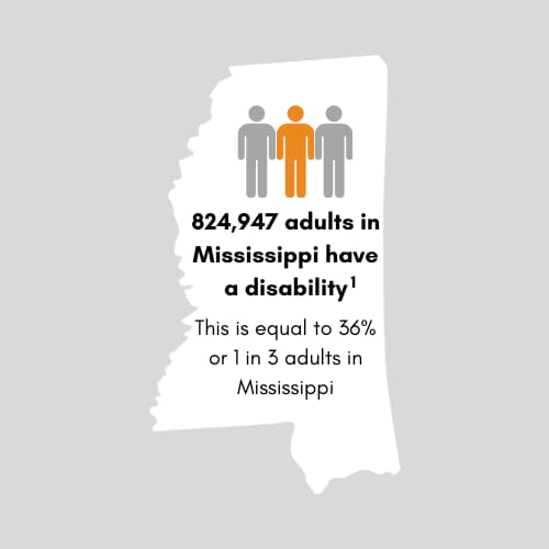 816,793 adults in Mississippi have a disability. This is equal to 35 percent or 1 in 3 adults in Mississippi.