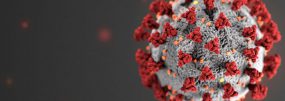 Coronavirus alert