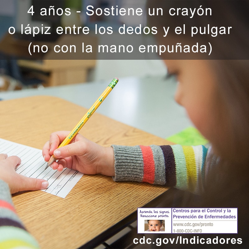 Sostiene un crayón o lápiz entre los dedos y el pulgar (no con la mano empuñada)