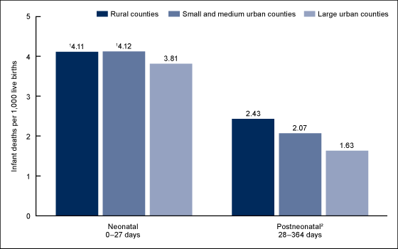 Figure 2 is a bar chart showing the infant mortality rate in rural, small and medium urban, and large urban counties by the age of infant death for 2014.