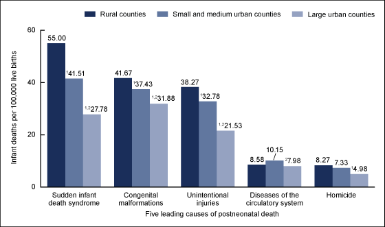 Figure 4 is a bar chart showing the postneonatal mortality rates in rural, small and medium urban, and large urban counties for the five leading causes of postneonatal death for combined years 2013 through 2015.