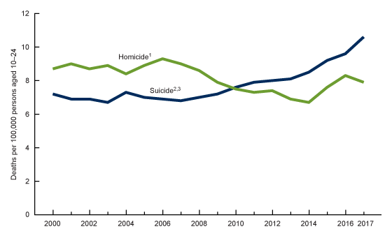 Figure 1 is a line chart showing suicide and homicide death rates for persons aged 10-24 for 2000 through 2017. 