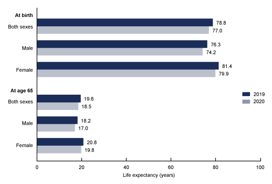 Figure 1 is a horizontal bar graph showing the life expectancy at birth and at age 65 by sex in the United States in 2019 and 2020.