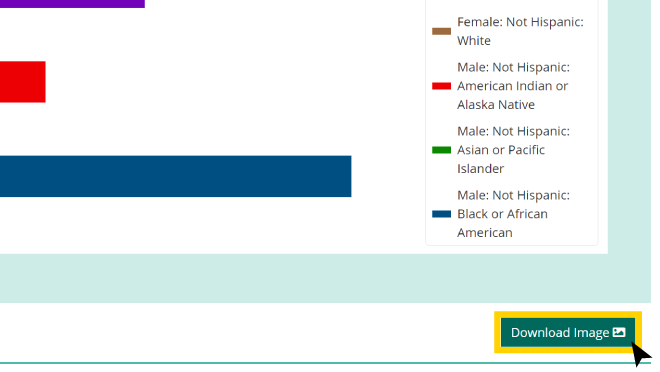 Screenshot showing "Download Image" link for maps and charts in DQS