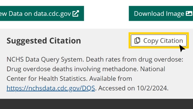 Screenshot of an example a suggested citation in DQS