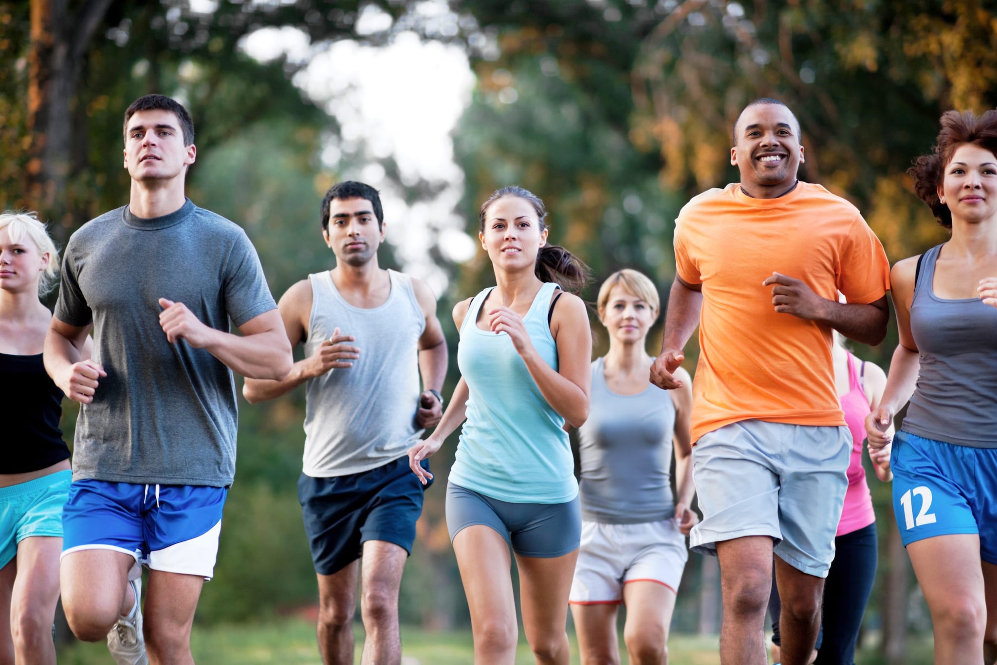 Group of runners in a cross country race.