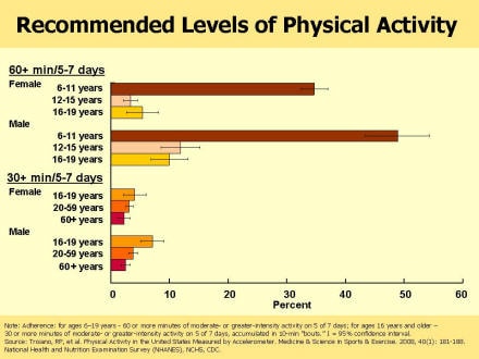 Picture of slide 12 as described above, which also includes a picture of a bar chart as described above.