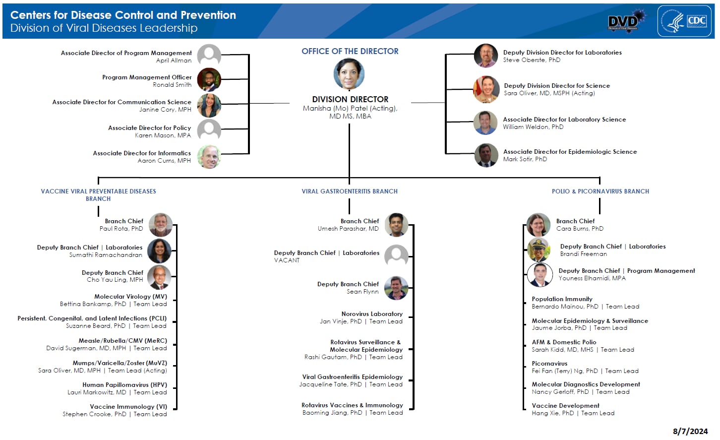 dvd-org-chart