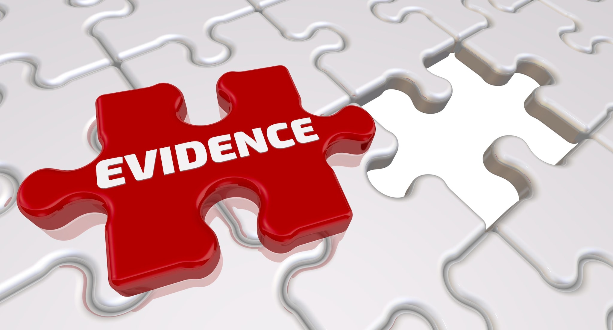 Decorative: Puzzle piece labeled "evidence"