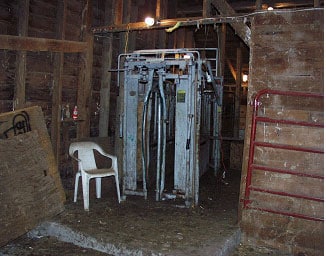 Photo #2. Squeeze chute where heifer was being held.