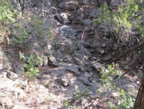 photograph of the trail where the FF was found unconscious