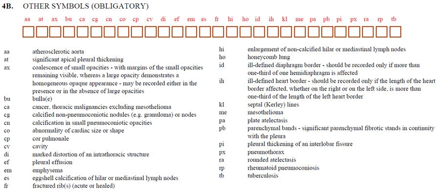 4A. Any Other Abnormalities? form sample