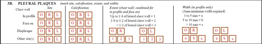 3A. Any Classifiable Pleural Abnormalities? form sample