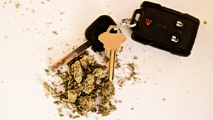 Car keys next to cannabis buds. Workplace safety topic: cannabis and driving. Image credit: LeslieLauren iStock/Getty Images Plus