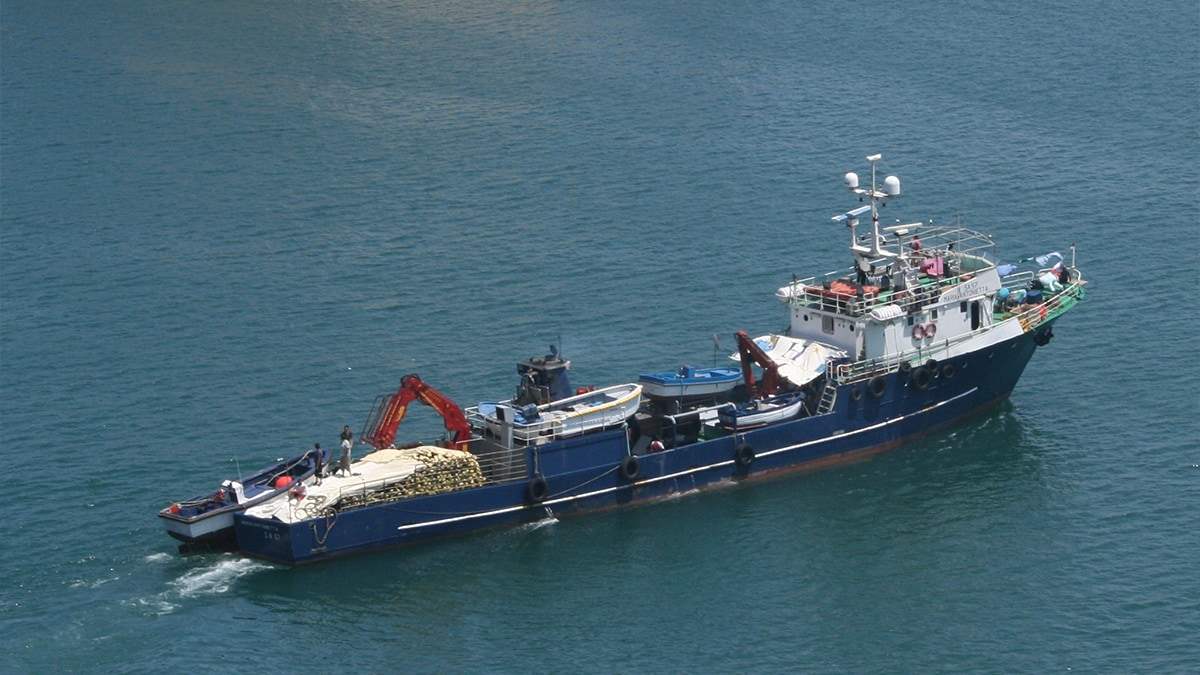 Distant water tuna purse seiner in Guam. Photo courtesy of USCG.